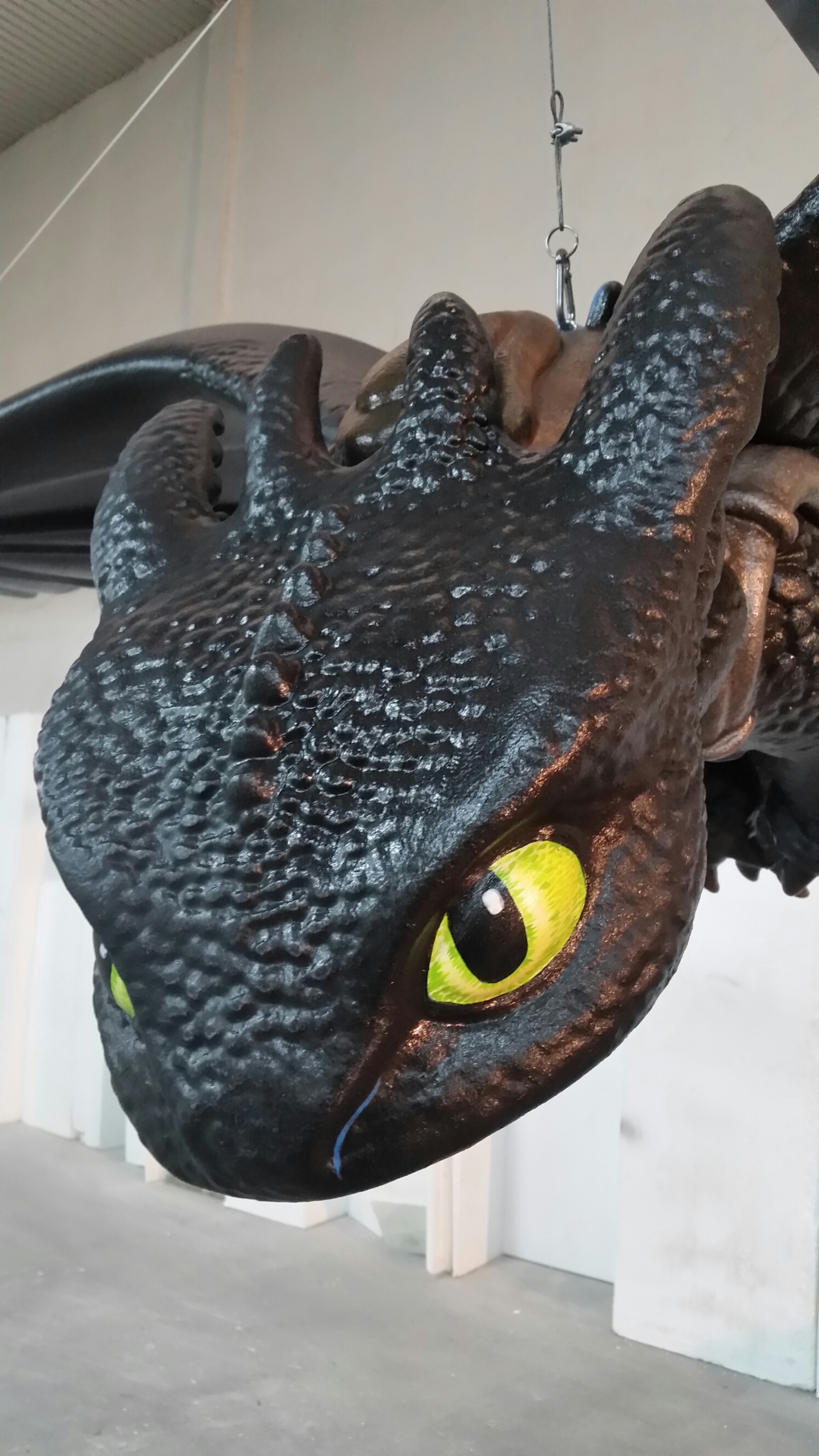 20141105_175047_resized