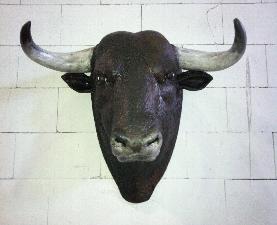 animales-toro-3